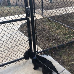 College Park Dog Park - Locked out....