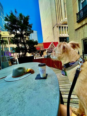 Cafe at Bobby by null