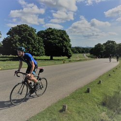 Livelo Bike Rental - Riding in Richmond park, London.