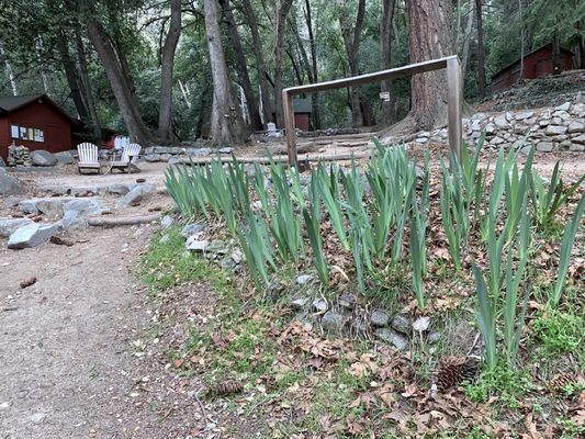 Sturtevant Camp by null