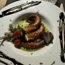 Salumeria Alcolica - Gerösteter Pulpo auf Zucchini-Gamba-Purree