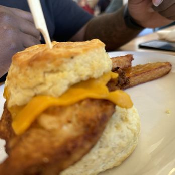 Big Bad Breakfast - Mobile - Chicken biscuit - Breakfast & Brunch Near Me - Mobile, Alabama