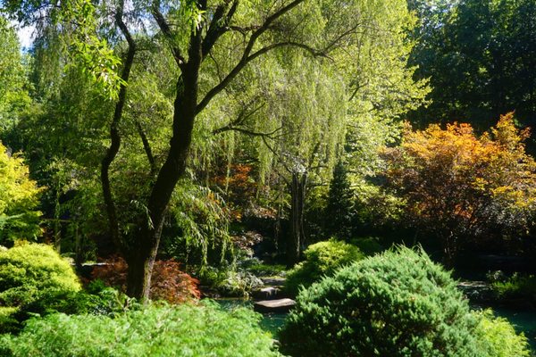 Gibbs Gardens by null