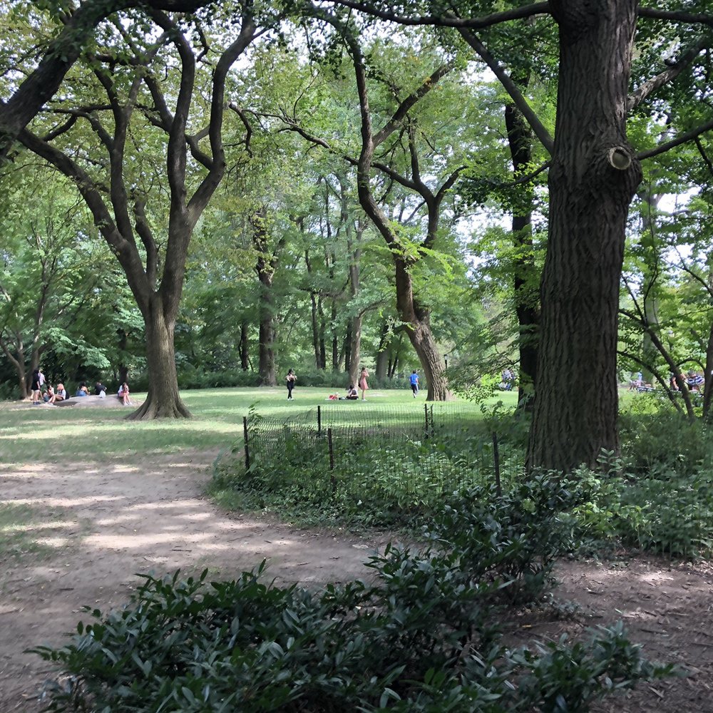 Strawberry Fields - Strawberry Fields Central Park NYC - Parks Near Me - New York, New York Strawberry Fields - Strawberry Fields Central Park NYC - Parks Near Me - New York, New York