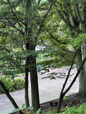 West Baden Springs Hotel by null