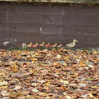 Walhalla Ravine - Fun painting of ducks - Landmarks & Historical Buildings Near Me - Columbus, Ohio Walhalla Ravine - Fun painting of ducks - Landmarks & Historical Buildings Near Me - Columbus, Ohio