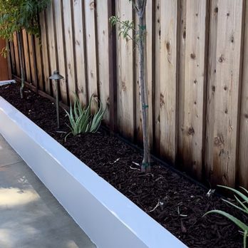 Alex Gomez Landscaping - a planter box with a tree in it - Landscaping Near Me Alex Gomez Landscaping - a planter box with a tree in it - Landscaping Near Me