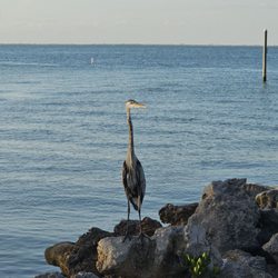 Beach Boutique Rentals - Bay side