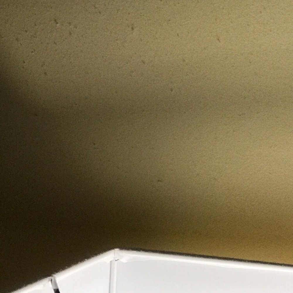 The Equus - Dust on the wall above my lamp. - Hotels Near Me - Honolulu, Hawaii The Equus - Dust on the wall above my lamp. - Hotels Near Me - Honolulu, Hawaii