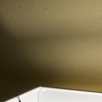 The Equus - Dust on the wall above my lamp. - Hotels Near Me - Honolulu, Hawaii The Equus - Dust on the wall above my lamp. - Hotels Near Me - Honolulu, Hawaii