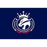 S Tieger Plumbing Logo