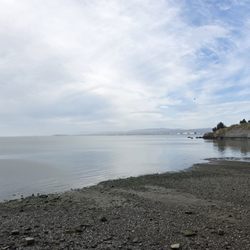 Oyster Point Marina