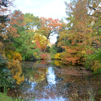 Mount Auburn Cemetery - Funeral Services & Cemeteries Near Me - Cambridge, Massachusetts
