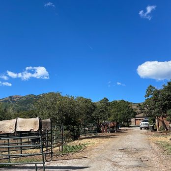Red Pine Adventures - Horseback Riding Near Me - Park City, Utah