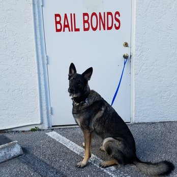 Good Shepherd Bail Bonds - Bail Bondsmen Near Me - Brooksville, Florida Good Shepherd Bail Bonds - Bail Bondsmen Near Me - Brooksville, Florida