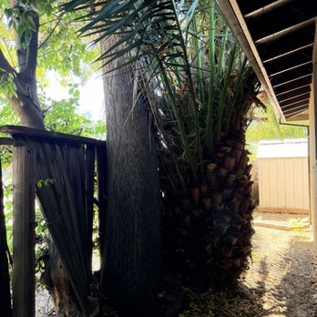 New Generation Tree Service - Tree Services Near Me