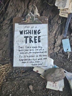 The Wishing Tree by null