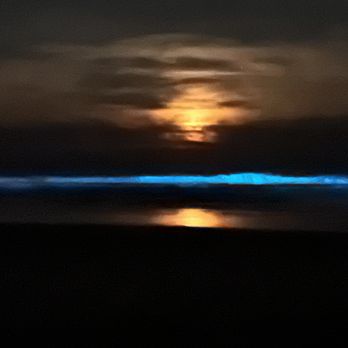Pajaro Duned - Beautiful blue bioluminescence - Vacation Rentals Near Me - Watsonville, California