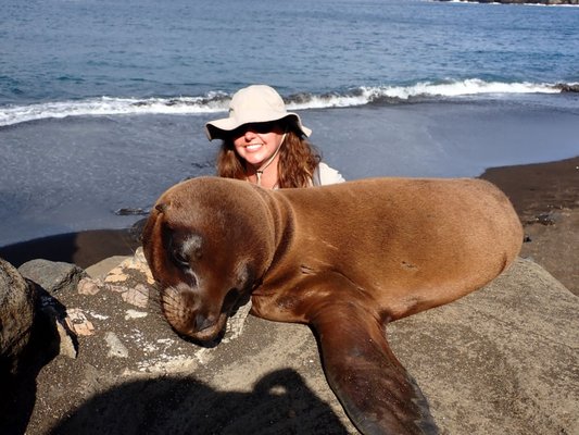 Quasar Expeditions by null