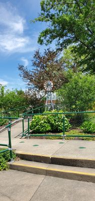 Chip's Clubhouse by null