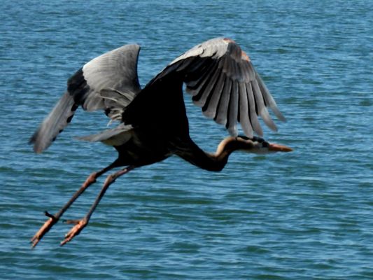 Padre Island National Seashore - Malaquite Visitor Center by null