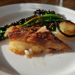 Inn At Ship Bay Restaurant - Mangalitsa Pork belly