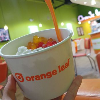 Orange Leaf Frozen Yogurt - Ice Cream & Frozen Yogurt Near Me - Westerville, Ohio