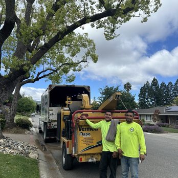JC Tree Experts - Tree Services Near Me JC Tree Experts - Tree Services Near Me