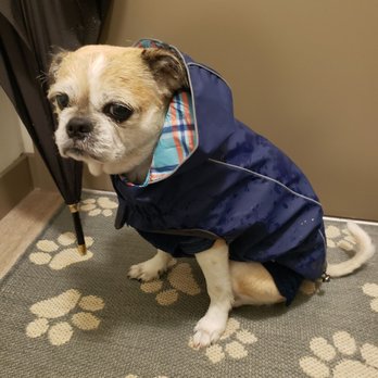 Hip Hound - Pet Stores Near Me - Portland, Oregon Hip Hound - Pet Stores Near Me - Portland, Oregon