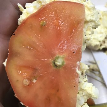 Upper Crust Bagel Company - The thinnest tomato slice EVER with the core left in. - Delis Near Me - Old Greenwich, Connecticut Upper Crust Bagel Company - The thinnest tomato slice EVER with the core left in. - Delis Near Me - Old Greenwich, Connecticut
