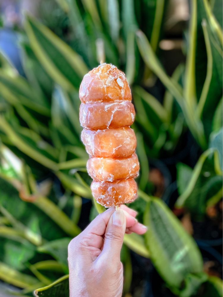 T KOMODA STORE & BAKERY Updated April 2024 903 Photos & 715 Reviews