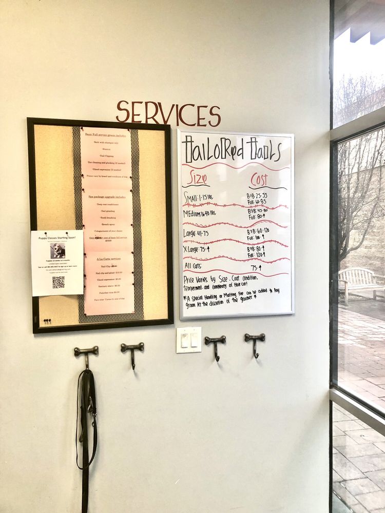 TAILORED TAILS Updated September 2024 21 Photos & 21 Reviews 2173