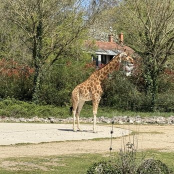 Lyon Zoo - Zoos Near Me - Lyon, 69