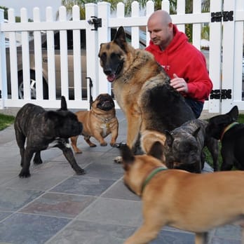 Muttropolis - Pet Stores Near Me - Solana Beach, California