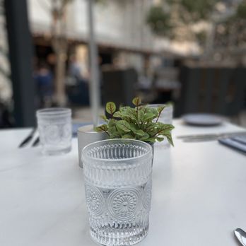 Zeppole - a plant in a glass on a table - Italian Near Me - Grapevine, Texas
