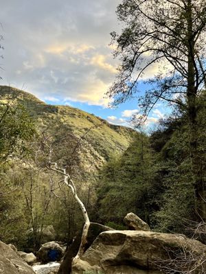 Black Star Canyon Falls Trailhead by null