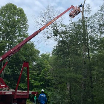 Bottomley Crane Service - Tree work. - Crane Services Near Me Bottomley Crane Service - Tree work. - Crane Services Near Me