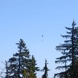 Le Yeti - Parapente ! (c'est pas moi!)