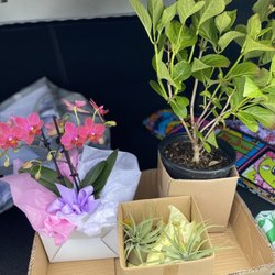 Flora Farm Landscaping - Gorgeous haul