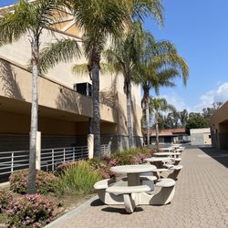 University High School
