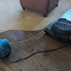 SunCal Carpet Clean - Fans drying our carpet.