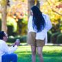 Photo of Dana Hargitay Photography