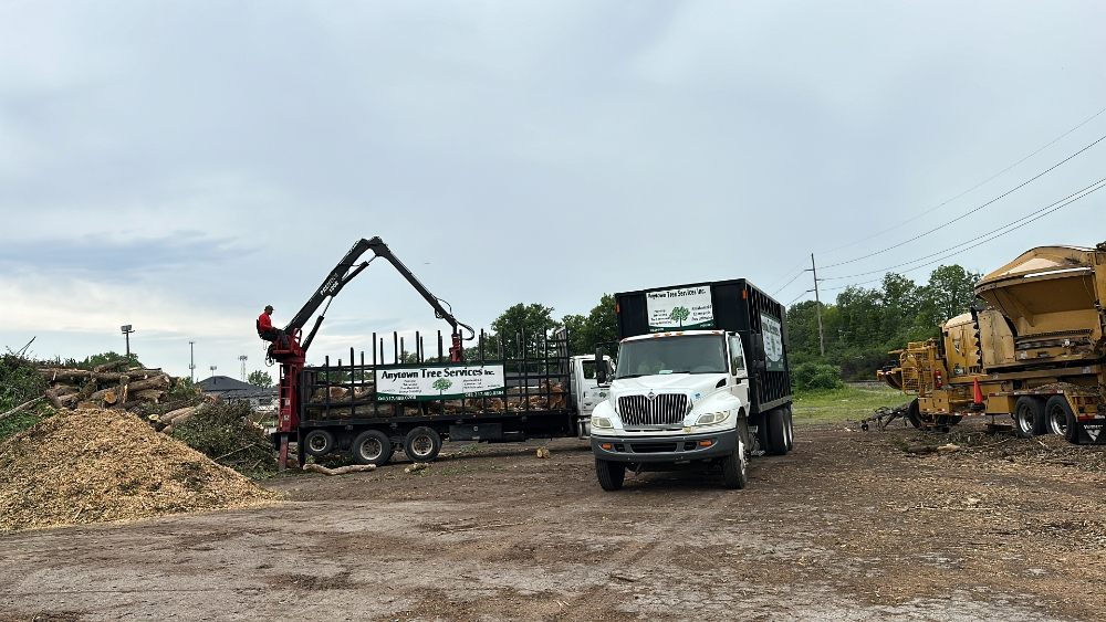 Anytown Tree Service - tree service in Indianapolis, IN