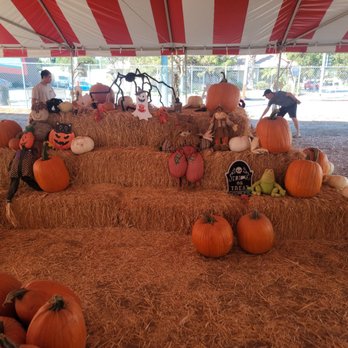 Tahoe Pumpkin Patch & Christmas Tree Lots - Christmas Trees Near Me - South Pasadena, California