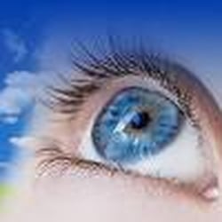 Shapiro Eye Care