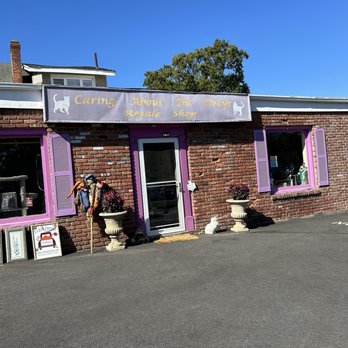Caring About The Strays - Thrift Stores Near Me - Westwood, New Jersey Caring About The Strays - Thrift Stores Near Me - Westwood, New Jersey