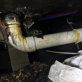 Damage Control & DC Restoration - Damage Restoration Near Me - Mesa, Arizona