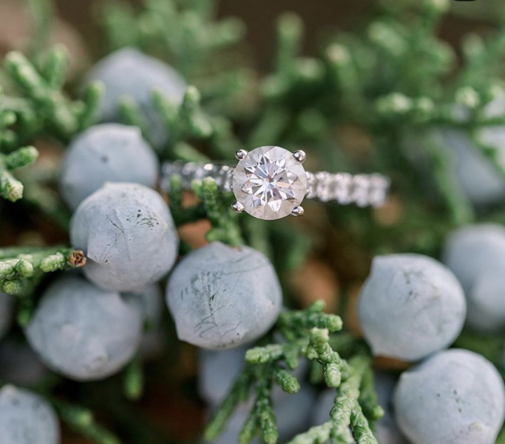 HANNOUSH JEWELERS Updated August 2024 155 Dorset St, South