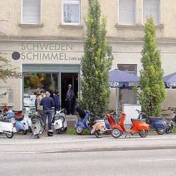 Schwedenschimmel