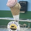 That Ice Cream Place gift card